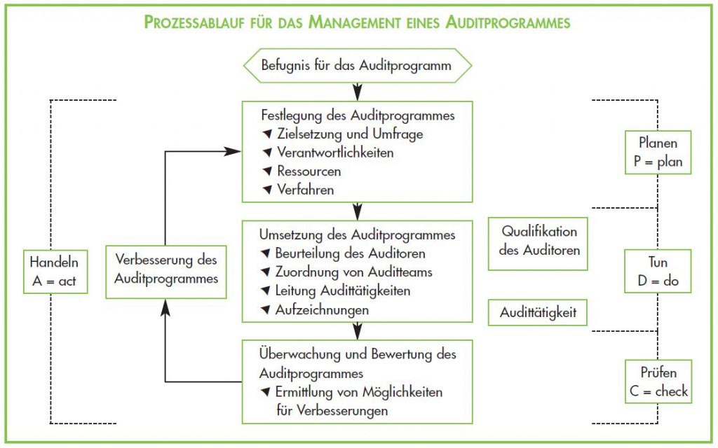 Grafik zum Prozessablauf für das Management eines Auditprogramms